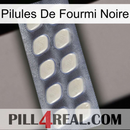 Black Ant Pills 08